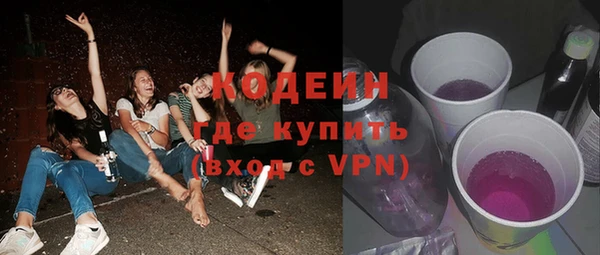 прущие крисы Ельня