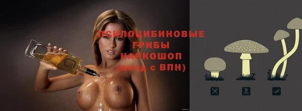 гашишное масло Елизово