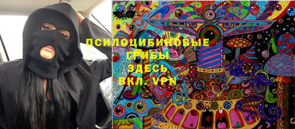 прущие крисы Ельня